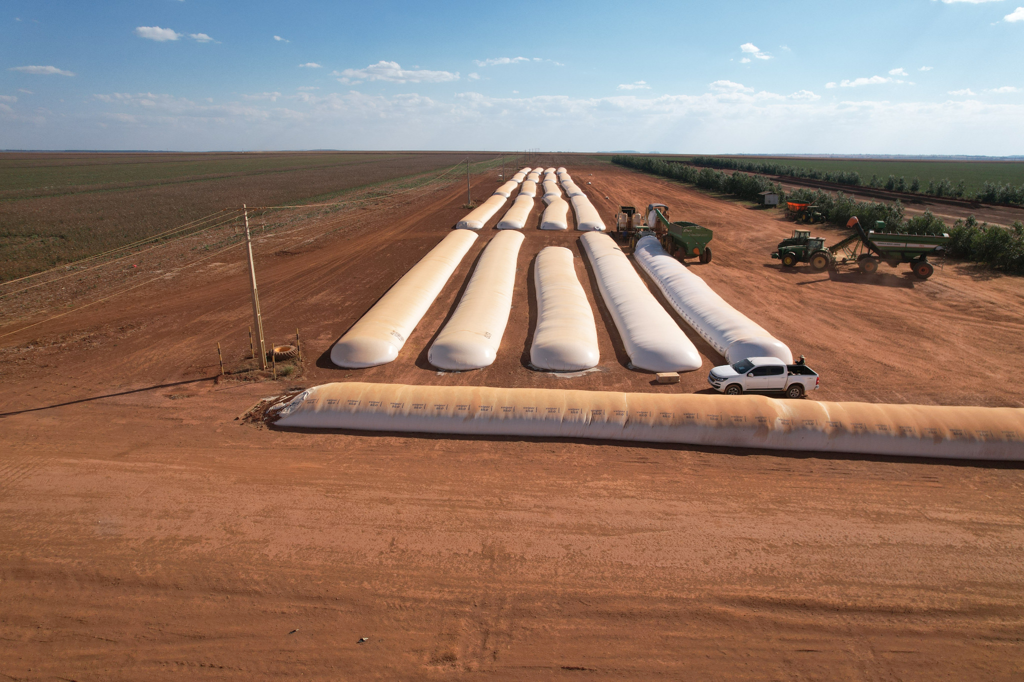 Silo-bolsas em perspectiva